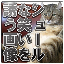 シュールな笑いを誘う画像集[笑ったら寝ろ] APK