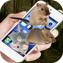 Mouse On Screen : Scary Joke APK