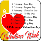Valentine Week Dp And Status Maker-icoon