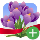 Spring Frames Plus أيقونة