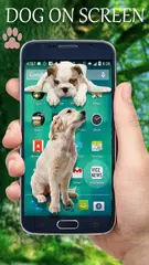Dog In Phone Screen Prank APK 下載
