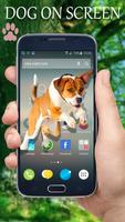 Dog In Phone Screen Prank الملصق
