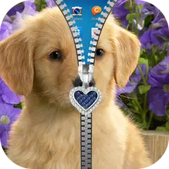 Puppy Zipper Lock Screen 2017 APK download
