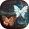 Butterfly Photo Frame