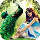 Peacock Photo Editor, Photo Frame-APK