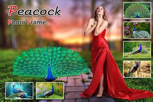 Peacock Photo Editor, Photo Frame Affiche