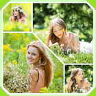 Icona Photo Grid