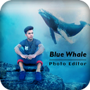 APK Blue Whale Photo Editor