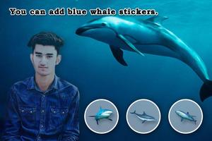 Blue Whale Photo Editor 截图 1