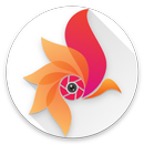 Flixel Cinemagraph pro  - give life to your photos APK