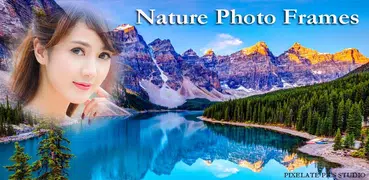 Quadros da foto da natureza