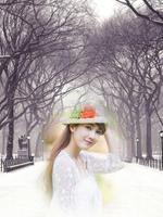 Snowfall Photo Frames poster