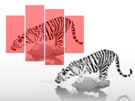 3D Tiger Photo Frames captura de pantalla 2