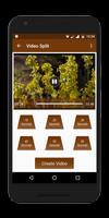 Video Splitter Ekran Görüntüsü 1