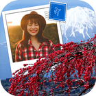 Postcard Photo Frame آئیکن