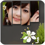 Picture Frame Collage