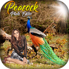 Peacock Photo Editor - Peacock Photo Frames 아이콘