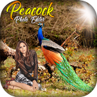 Peacock Photo Editor - Peacock Photo Frames icône