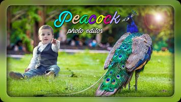 Peacock Photo Editor - Peacock Photo Frames Affiche
