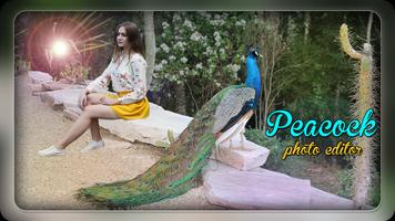 Peacock Photo Editor - Peacock Photo Frames 스크린샷 1