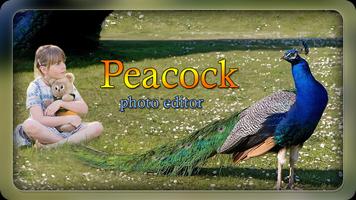 Peacock Photo Editor - Peacock Photo Frames captura de pantalla 2