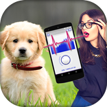 Dog Translator Simulator