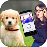 Dog Translator Simulator آئیکن