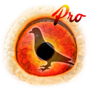 Pigeon Pedigree Pro APK