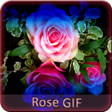 Rose GIF Collection simgesi
