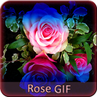 آیکون‌ Rose GIF Collection