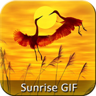 Sunrise GIF Collection Zeichen