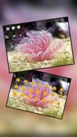 Pink Oceanic Worm poster