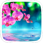 Pink bloss icon