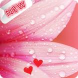 Pink Drops Keyboard Theme