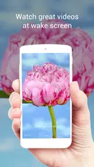 Baixar Tema vivo da flor cor-de-rosa APK
