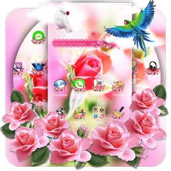 Pink Rose Flowers Amor
