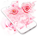Pink Rose Love