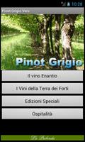 Pinot Grigio Vero poster