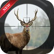 ”Cool hunting games