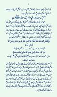 Aadaab e Ishq e Rasool SAW In Urdu Screenshot 3