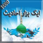 Aik Hazaar Ahadees أيقونة