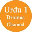 All dramas Urdu 1 Channel