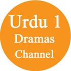 All dramas Urdu 1 Channel 图标