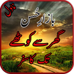 Bazar E Husan Urdu Novel