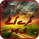 Bazar E Husan Urdu Novel APK