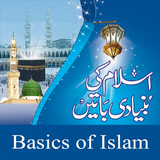 Learn Basics of Islam icône