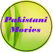 Bast Pakistani Movies