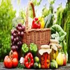 Fruit and Vegetables icon