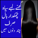 Hair Care Tips In Urdu APK