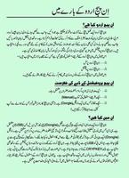 InPage Urdu Complete Course capture d'écran 1